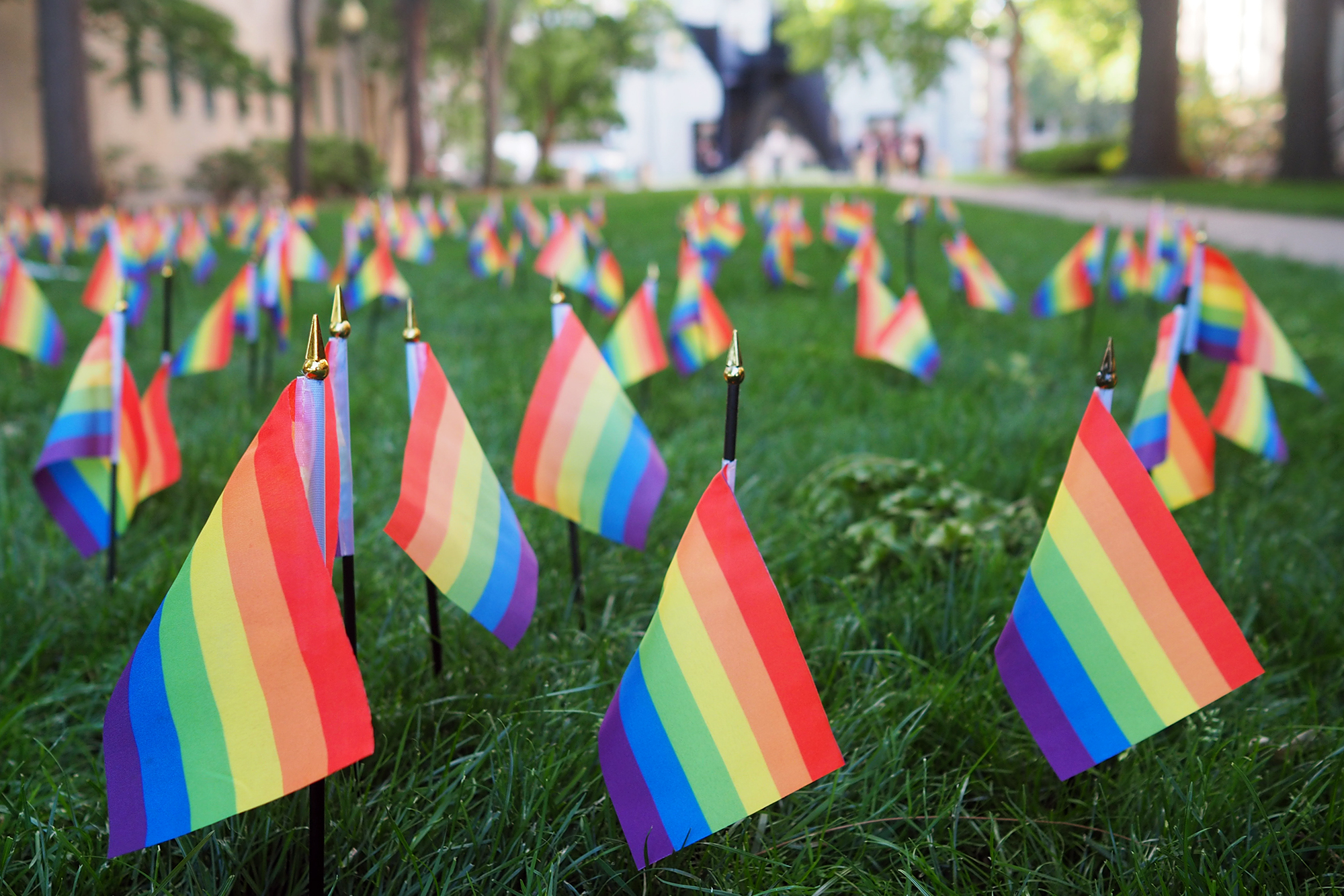 Gay Flags
